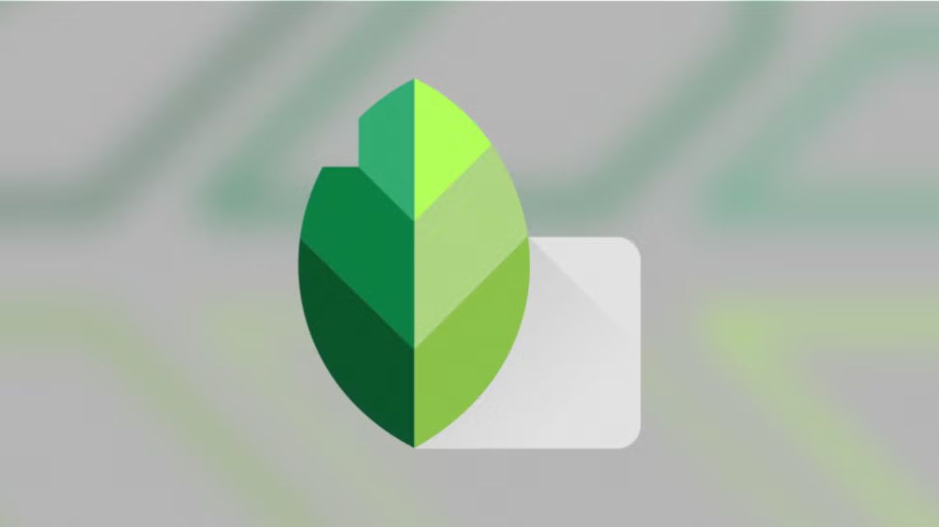 Logo Snapseed aplikacije na sivoj pozadini